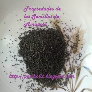 semillas de amapola para preparar tartas, bizcochos o pan casero