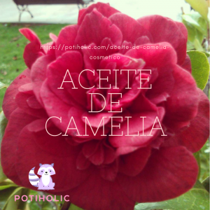 aceite de camelia, propiedades y usos cosmeticos