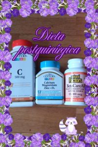 Dieta Postquirurgica Suplementos Potiholic Resized 200x300