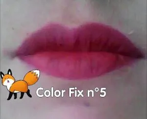 Labiales deliplus color fix de alta permanencia, tono nº5 burdeos