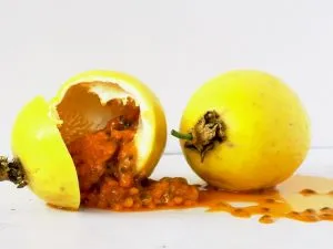 de las semillas del maracuyá o fruta de la pasión se extrae un aceite muy interesante