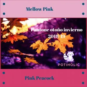 Mellow Pink y Pink Peacock Pantone