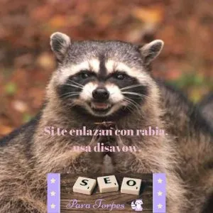 mapache maquiavelico meme SEO