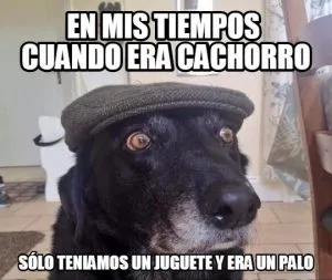 perro viejo un palo