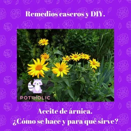 Aceite de arnica receta casera y propiedades. Forma de uso.