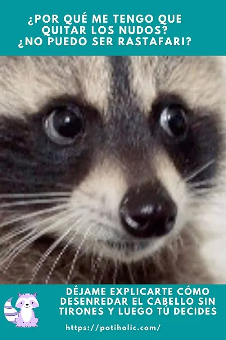 cómo eliminar nudos en el cabello sin tirones