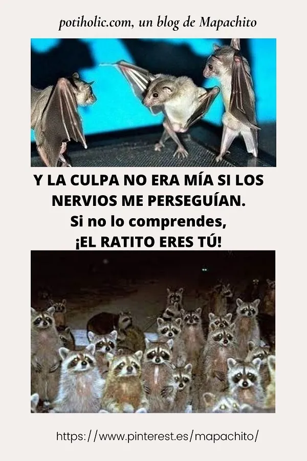 Y la culpa no era mía murciélagos bailando